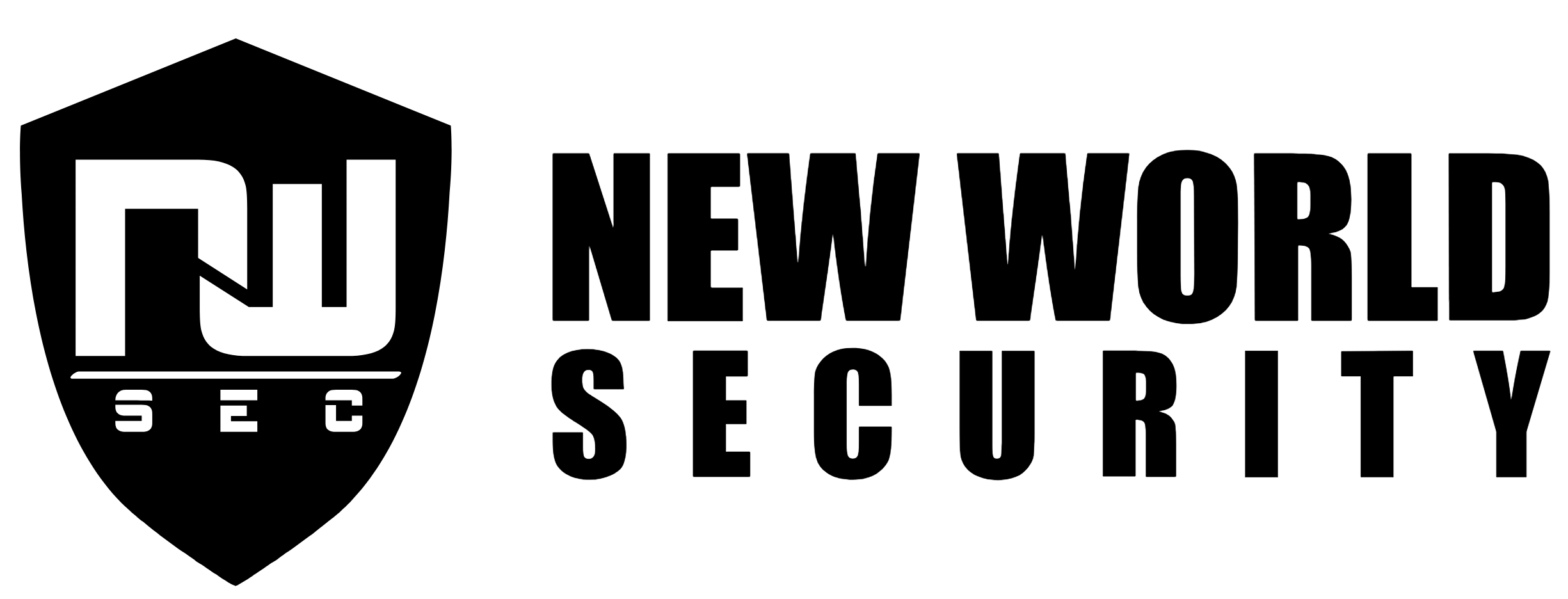New World Security